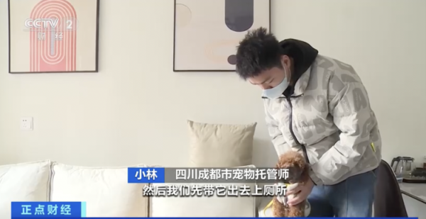 华霖资本 “宠托师”火了！上门喂养宠物，有人短短几天，收入数千元