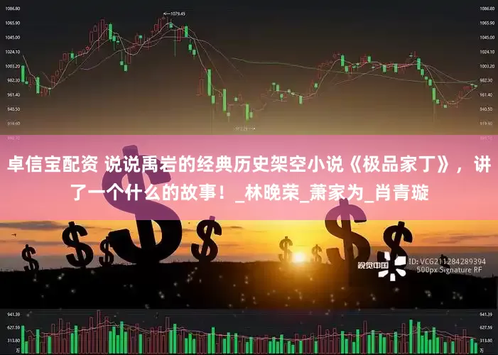 卓信宝配资 说说禹岩的经典历史架空小说《极品家丁》，讲了一个什么的故事！_林晚荣_萧家为_肖青璇
