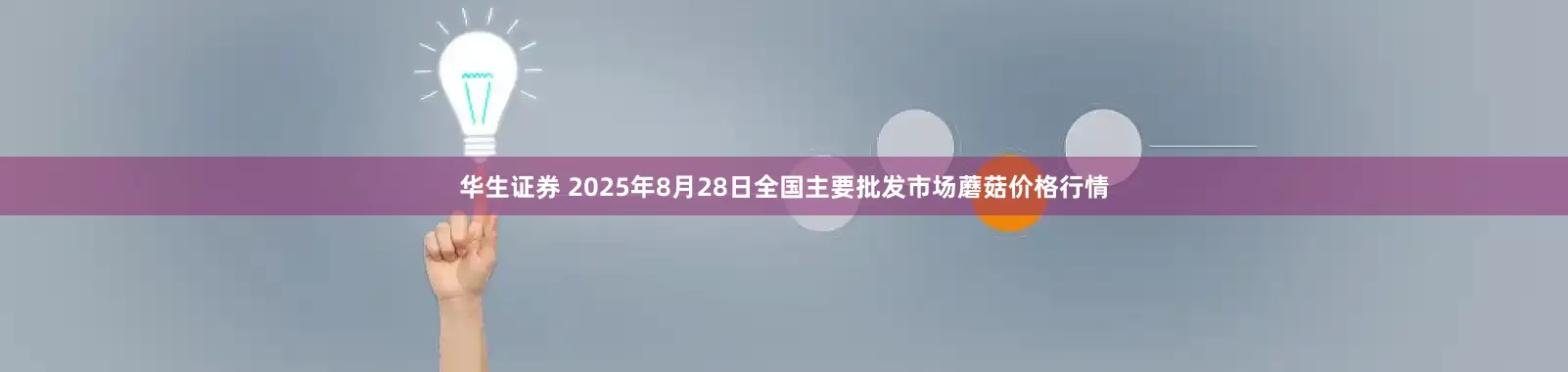 华生证券 2025年8月28日全国主要批发市场蘑菇价格行情
