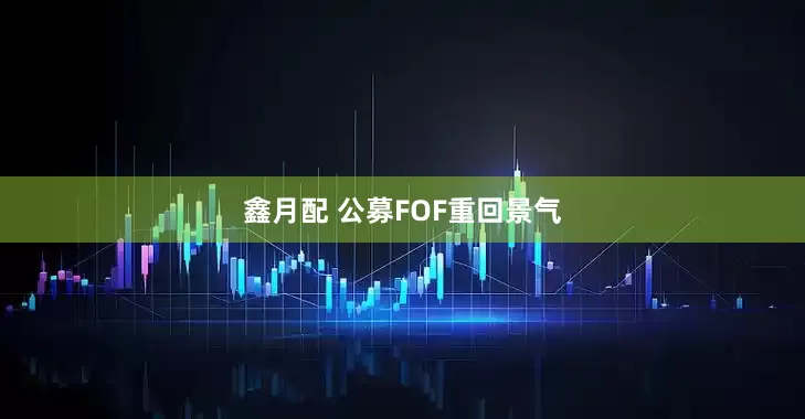 鑫月配 公募FOF重回景气